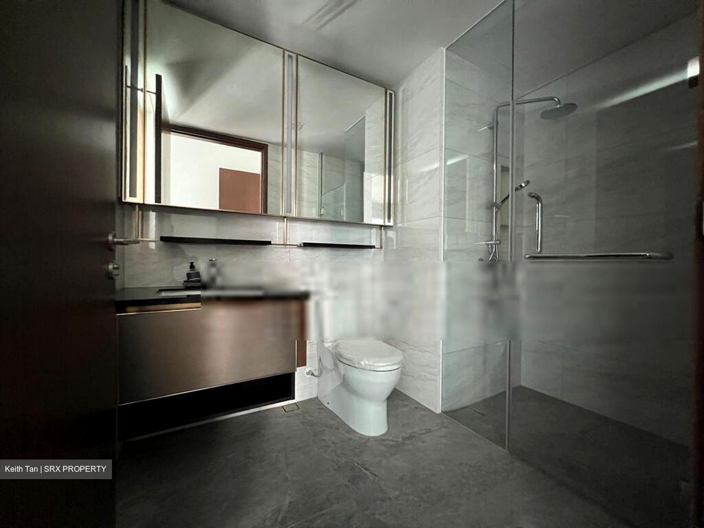 Normanton Park (D5), Apartment #414899301